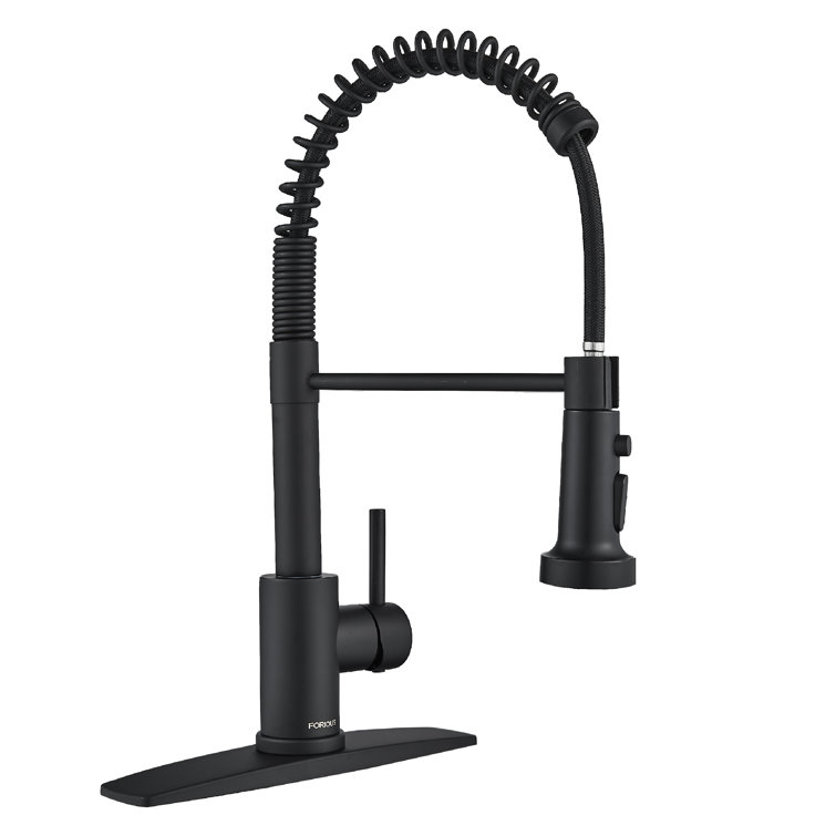 FORIOUS Pull Out Kitchen Faucet with Accessories & Reviews Wayfair